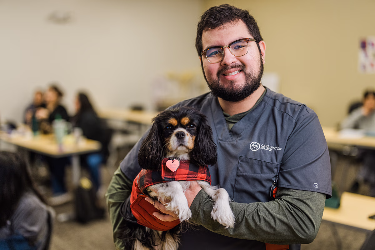 Carrington College Veterinary Technology Program