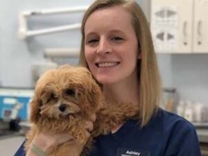 Studying Pathology and Disease Processes Intrigued This Veterinary Technology Student
