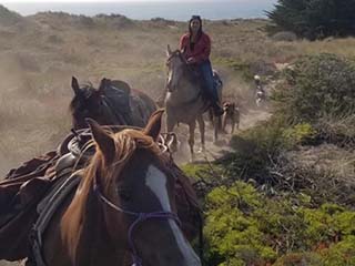 Graduate Q&A with Veterinary Technology Graduate Carolina Garcia