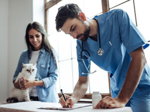 Delving Into the Harmonious Partnership Between Vets and Veterinary Assistants