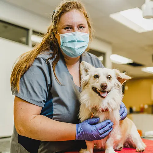 Veterinary Technology Program Details