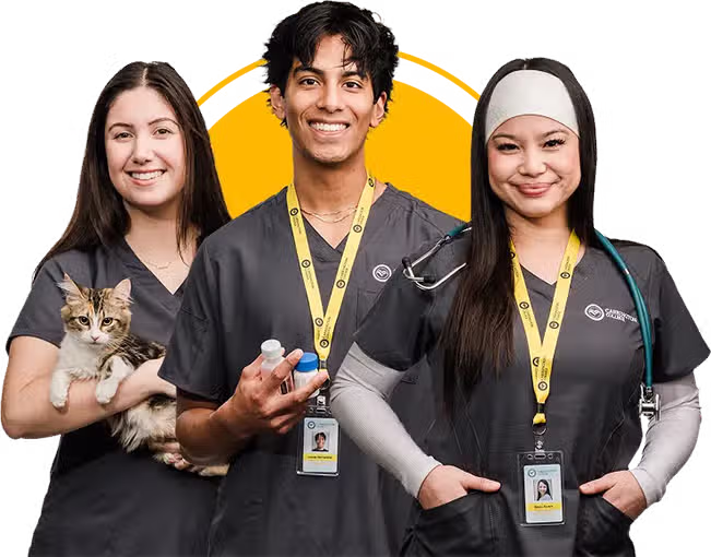 Carrington College Desktop Hero Image